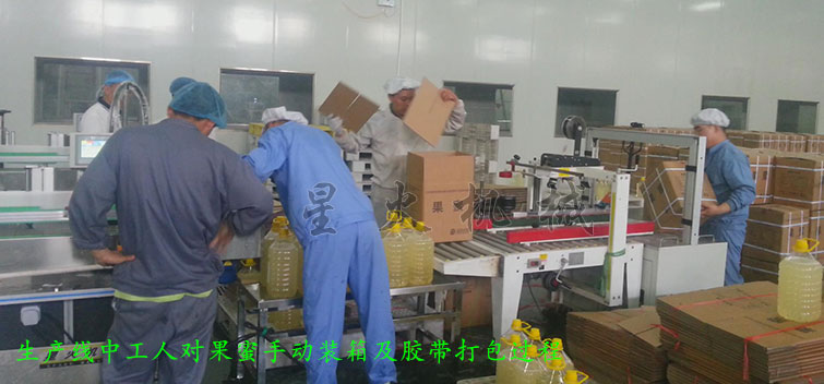 消防粉灌裝生產線，全自動粉末灌裝生產線